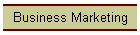 Business Marketing